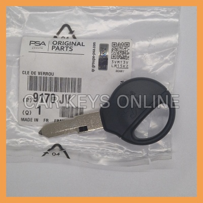 Genuine Peugeot 206 Transponder Key (9170JV)