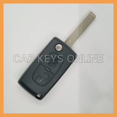 OEM Remote Key for Peugeot (6490Y1)